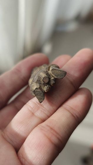 พ่องั่งแม่เป๋อไม้แกะเก่าฝังตะปูตอกโรงผี  รูปที่ 8