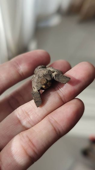 พ่องั่งแม่เป๋อไม้แกะเก่าฝังตะปูตอกโรงผี  รูปที่ 9