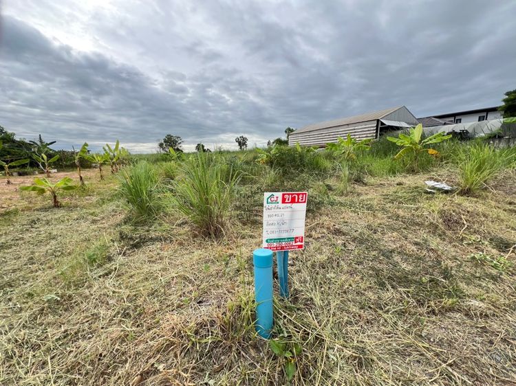 ที่ดินให้เช่า 100 ตร.วา ติดถนนมอเตอร์เวย์