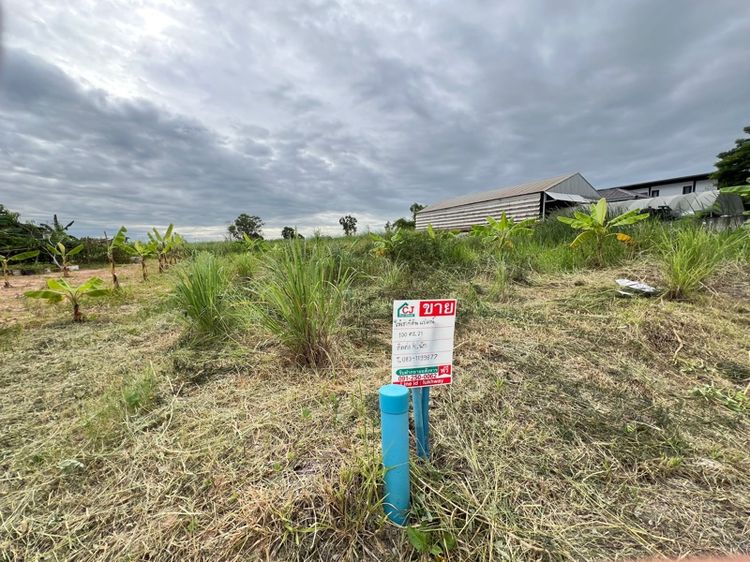 ใช่ ที่ดินให้เช่า 100 ตร.วา ติดถนนมอเตอร์เวย์ รูปที่ 3