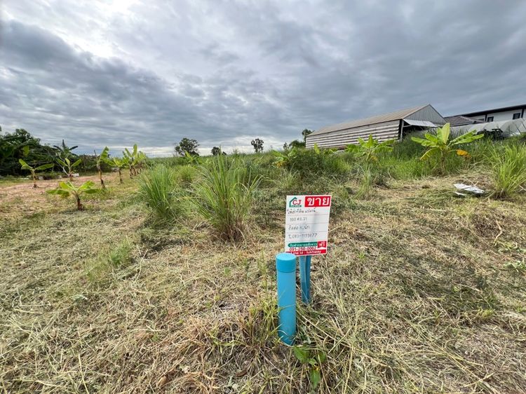 ใช่ ที่ดินให้เช่า 100 ตร.วา ติดถนนมอเตอร์เวย์ รูปที่ 2