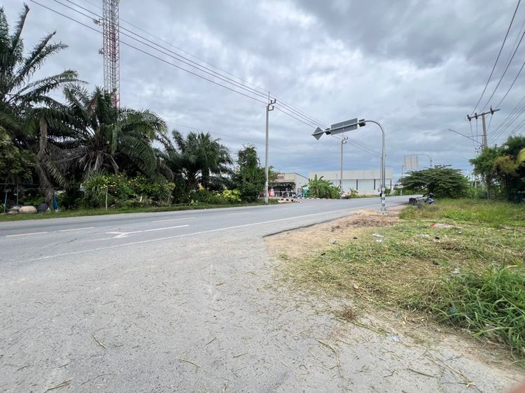 ใช่ ที่ดินให้เช่า 100 ตร.วา ติดถนนมอเตอร์เวย์ รูปที่ 4