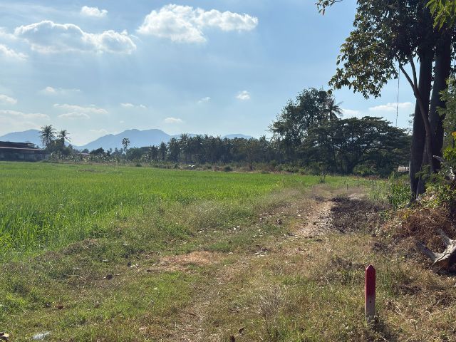 ใช่ ที่ดินสวยๆ ต.เขาใหญ่ ติดถนนใหญ่ รูปที่ 2