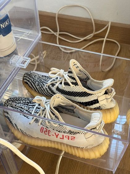 ปล่อยรองเท้า adidas Yeezy Boost 350 V2 Zebra