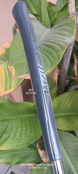 Putter Scotty cameron ซ้าย รูปที่ 5