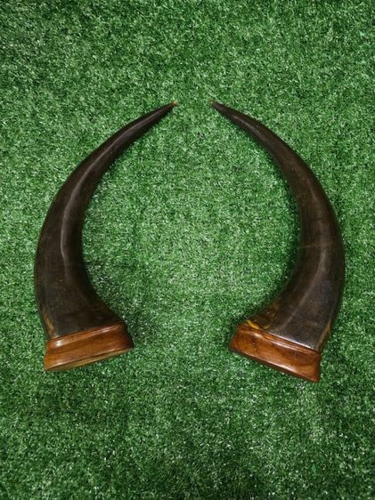 เขาควายแกะสลัก​ ของตั้งโชว์​ ของแต่งบ้าน​ งานสวยมากค่ะ รูปที่ 2