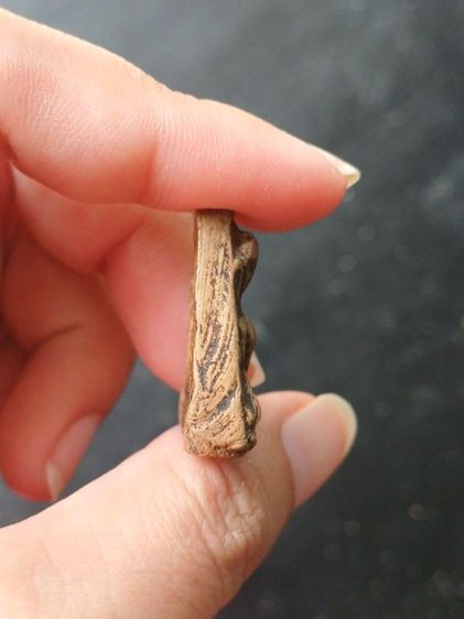 พระผงสุพรรณพิมพ์หน้าแก่ รูปที่ 4