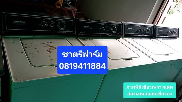เครื่องซักผ้าอุตสาหกรรม speedqueen ขายตามสภาพ ไม่มีบริการส่ง 4 ตัว รูปที่ 2