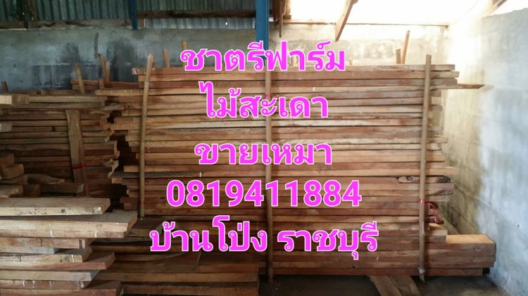 ไม้สะเดาแปรรูปแล้วหลายขนาด รูปที่ 4