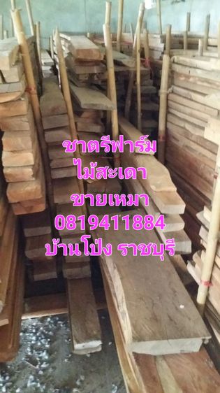 ไม้สะเดาแปรรูปแล้วหลายขนาด รูปที่ 2