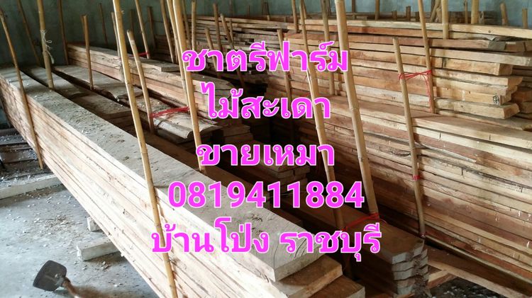 ไม้สะเดาแปรรูปแล้วหลายขนาด รูปที่ 3