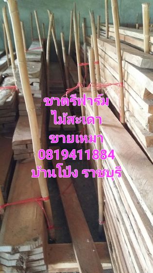 ไม้สะเดาแปรรูปแล้วหลายขนาด