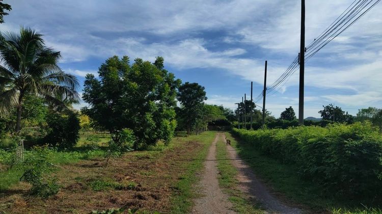 ต่อรองได้ vายด่วน  ที่ดิน  74 ไร่ รูปที่ 2