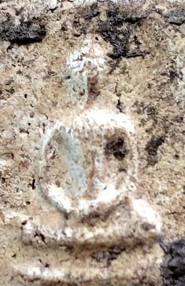 พระสมเด็จวัดระฆัง บางขุนพรหม เกศไชโย หลวงปู่ภู หลวงปู่นาค รูปที่ 14