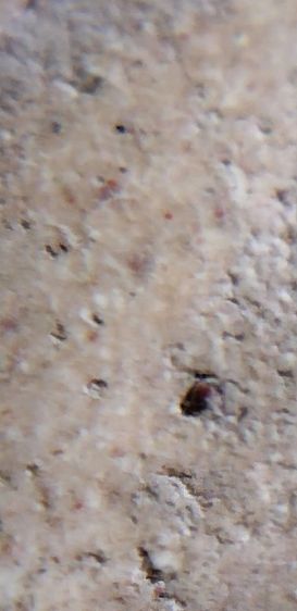 พระสมเด็จวัดระฆัง บางขุนพรหม เกศไชโย หลวงปู่ภู หลวงปู่นาค รูปที่ 5