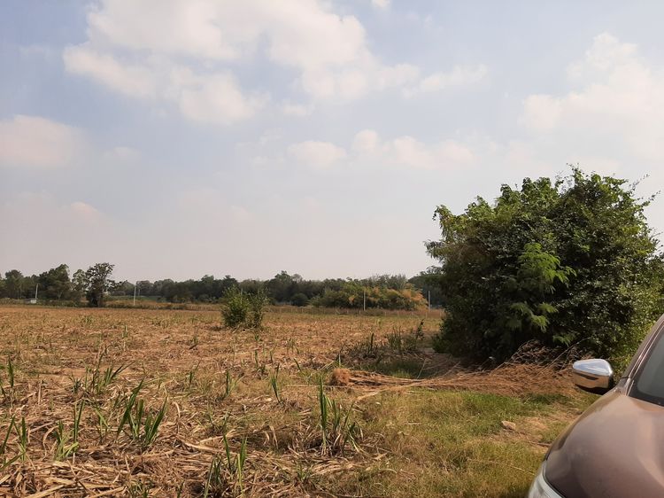 ต่อรองได้ค่ะ vายด่วน ที่ดิน  15ไร่ 35ตรว. อ.บ้านโป่ง จ.ราชบุรี