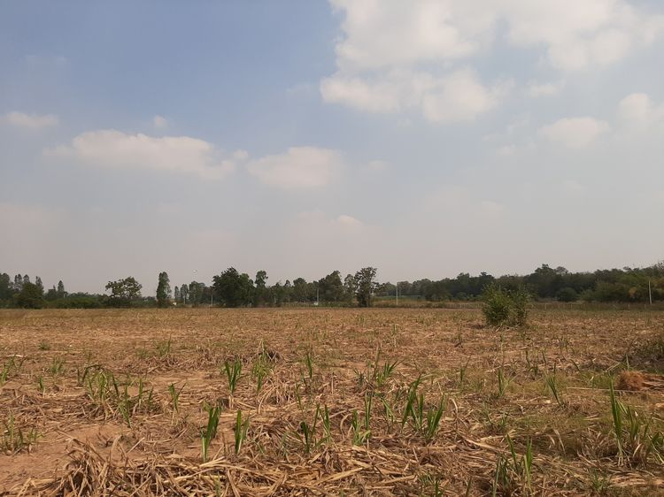 ต่อรองได้ค่ะ vายด่วน ที่ดิน  15ไร่ 35ตรว. อ.บ้านโป่ง จ.ราชบุรี รูปที่ 3