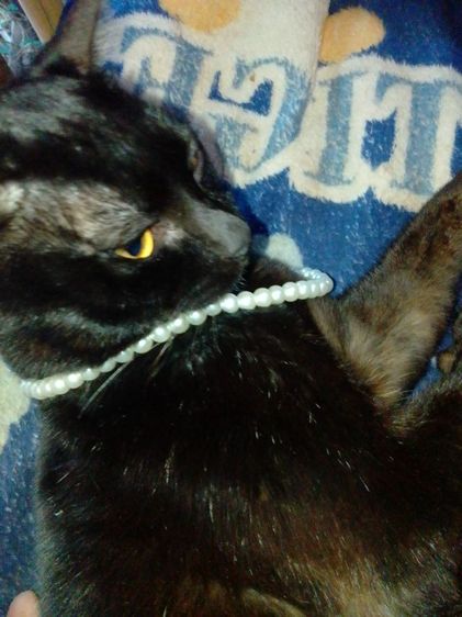 สร้อยมุกเทียม 8มม. รูปที่ 4