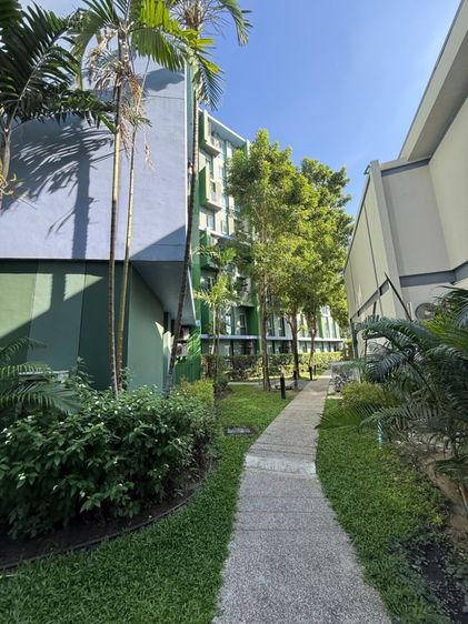 อื่นๆ ไม่อนุญาต ไม่มี 2015 ขายผ่านการประมูล รหัส 16174 คอนโดพักอาศัย พาร์ค เอ็กโซ ประเสริฐมนูกิจ กรุงเทพ รูปที่ 3