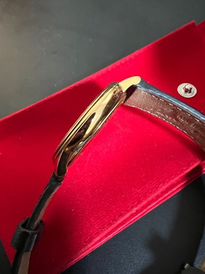 Mido หน้าน้ำตาล รูปที่ 5