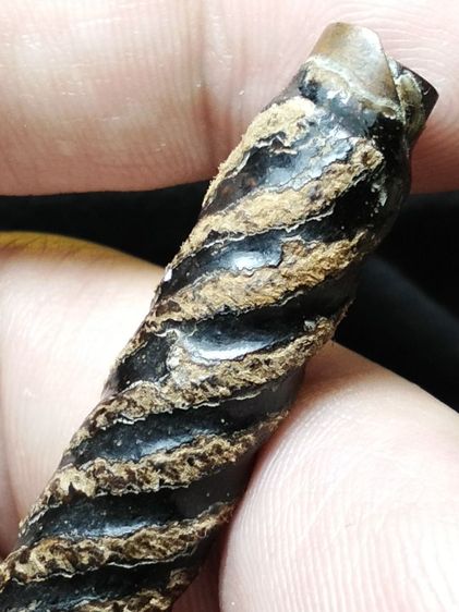 ❌ปิดครับ❌ตะกรุดเก่าถักเชือกลงรักครับ รูปที่ 10