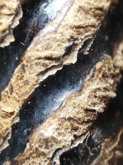 ❌ปิดครับ❌ตะกรุดเก่าถักเชือกลงรักครับ รูปที่ 3