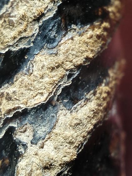 ❌ปิดครับ❌ตะกรุดเก่าถักเชือกลงรักครับ รูปที่ 15