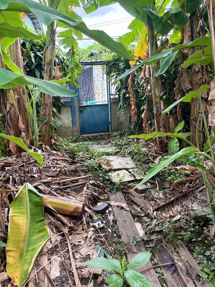 ด่วน ที่ดิน ตร.ว ในซ.ตากสิน 34 (ซ.โกบ้อ) ใกล้ BTS ตลาดพลู วงเวียนใหญ่ รูปที่ 3