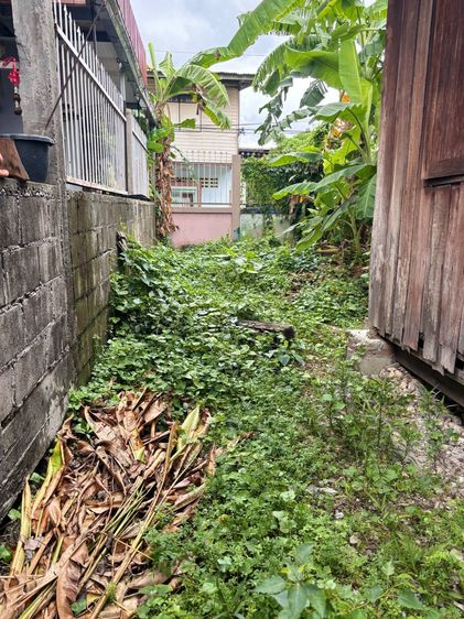 ด่วน ที่ดิน ตร.ว ในซ.ตากสิน 34 (ซ.โกบ้อ) ใกล้ BTS ตลาดพลู วงเวียนใหญ่ รูปที่ 2