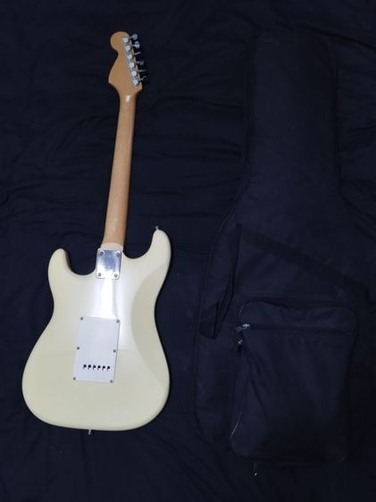 กีตาร์ไฟฟ้า Pisariez รูปที่ 2