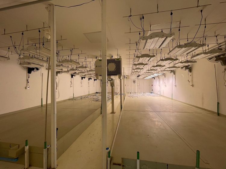 เซ้งกิจการโรงเรือนปลูกสมุนไพรควบคุม ลาดหลุมแก้ว รูปที่ 3