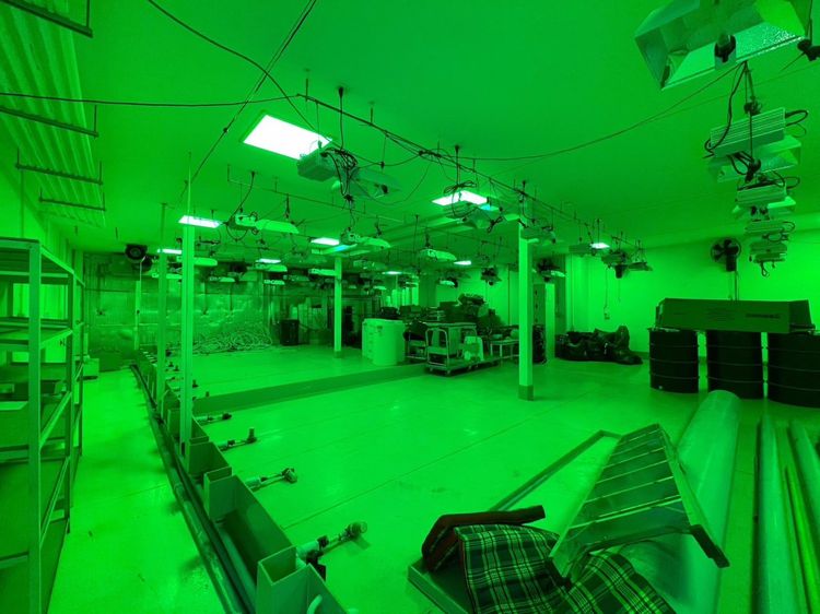 เซ้งกิจการโรงเรือนปลูกสมุนไพรควบคุม ลาดหลุมแก้ว รูปที่ 4