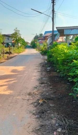 ที่ดินเปล่าอำเภอเมืองชัยภูมิ รูปที่ 2