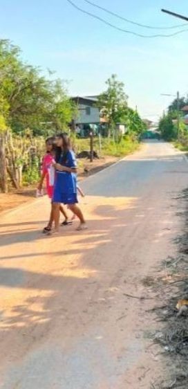 ที่ดินเปล่าอำเภอเมืองชัยภูมิ รูปที่ 3