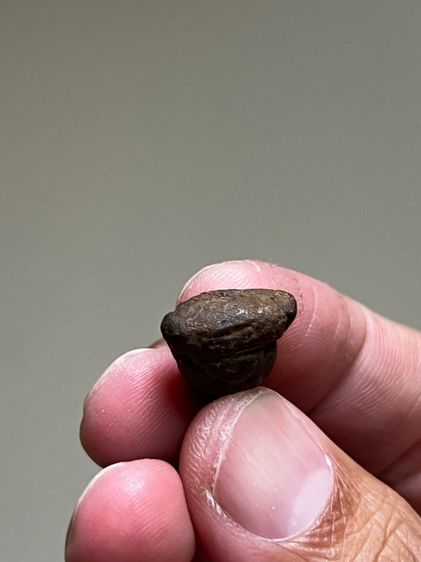 พระปิดตาเก่า รูปที่ 5