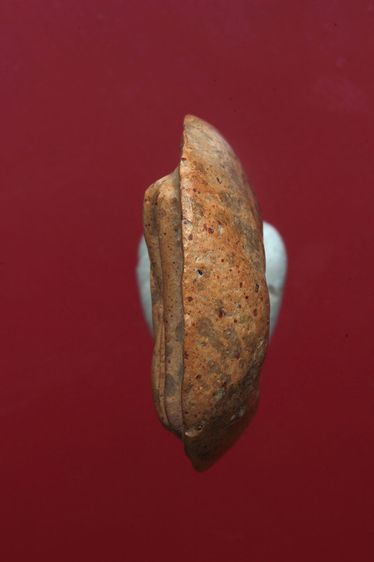 พระซุ้มกอสวยๆค่ะเก่าค่ะ รูปที่ 5