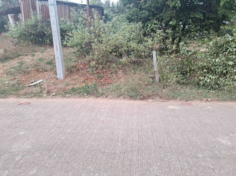 ที่ดินว่างเปล่าตำบลนาฝาย รูปที่ 2