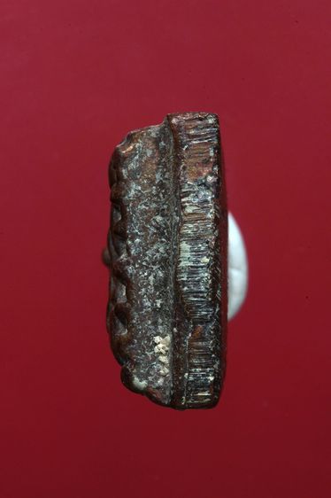 พระหลวงพ่อทวดเตารีดสวยๆค่ะเก่าค่ะ รูปที่ 5