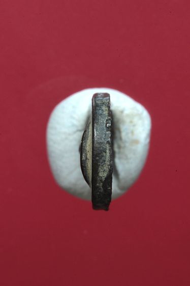 พระพิจิตรเม็ดข้าวเม่าสวยๆค่ะเก่าค่ะ รูปที่ 5