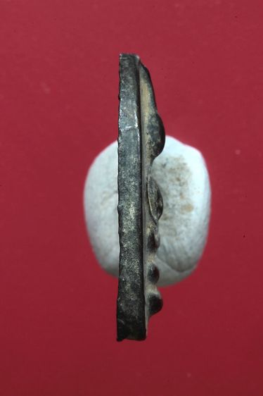 พระพิจิตรเม็ดข้าวเม่าสวยๆค่ะเก่าค่ะ รูปที่ 3