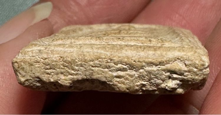 🙏พระสมเด็จพิมพ์ใหญ่🙏องค์ละ1000 รูปที่ 18