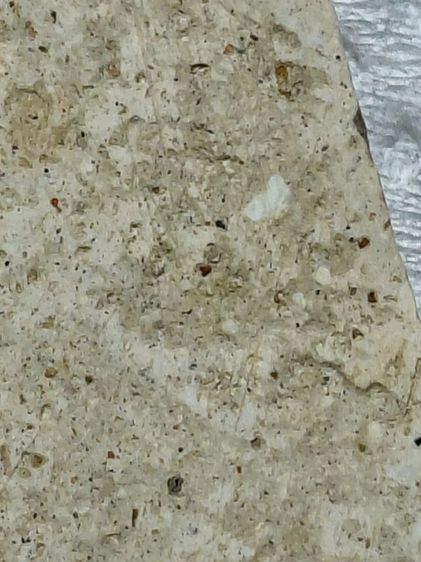 พิมพ์ใหญ่วัดระฆัง(เปิด20ล้านบาท) รูปที่ 18