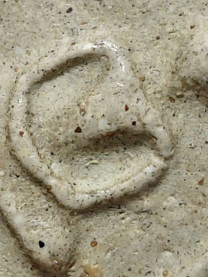 พิมพ์ใหญ่วัดระฆัง(เปิด20ล้านบาท) รูปที่ 13