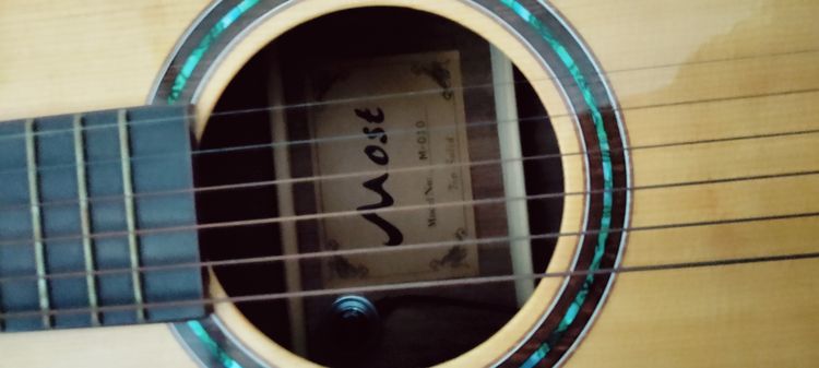 กีต้าร์โปร่งไฟฟ้า รูปที่ 3