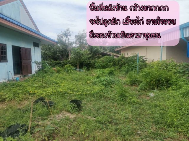 มีบางส่วน ขายบ้านเดี่ยว 2 ห้องนอน 1 ห้องน้ำ 1 ห้องครัว 1 ฟ้องอเนกประสงค์  รูปที่ 4