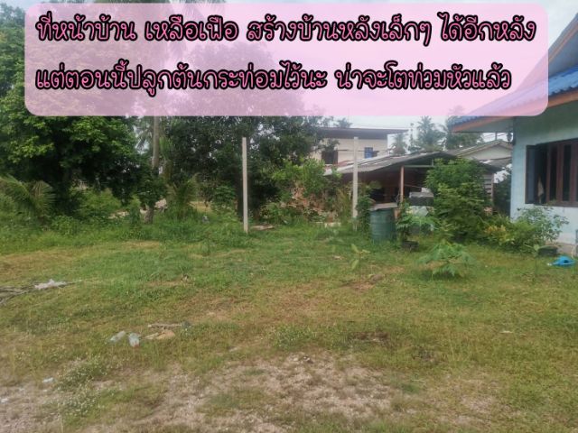 มีบางส่วน ขายบ้านเดี่ยว 2 ห้องนอน 1 ห้องน้ำ 1 ห้องครัว 1 ฟ้องอเนกประสงค์  รูปที่ 2