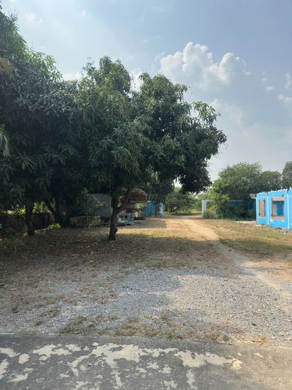 ขายที่ดิน 9 ไร่ 3 งาน อ.คลองหลวง จ.ปทุมธานี ทำเลทอง บรรยากาศดี ใกล้ถนนคลองหลวง