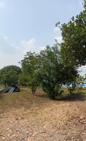 ขายที่ดิน 9 ไร่ 3 งาน อ.คลองหลวง จ.ปทุมธานี ทำเลทอง บรรยากาศดี ใกล้ถนนคลองหลวง รูปที่ 4