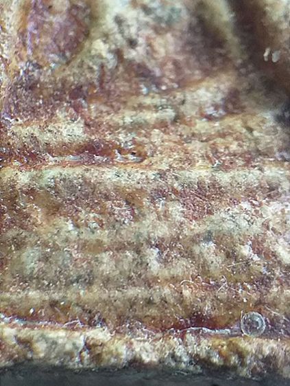 ปากน้ำ รุ่น1. รูปที่ 8