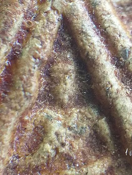 ปากน้ำ รุ่น1. รูปที่ 7